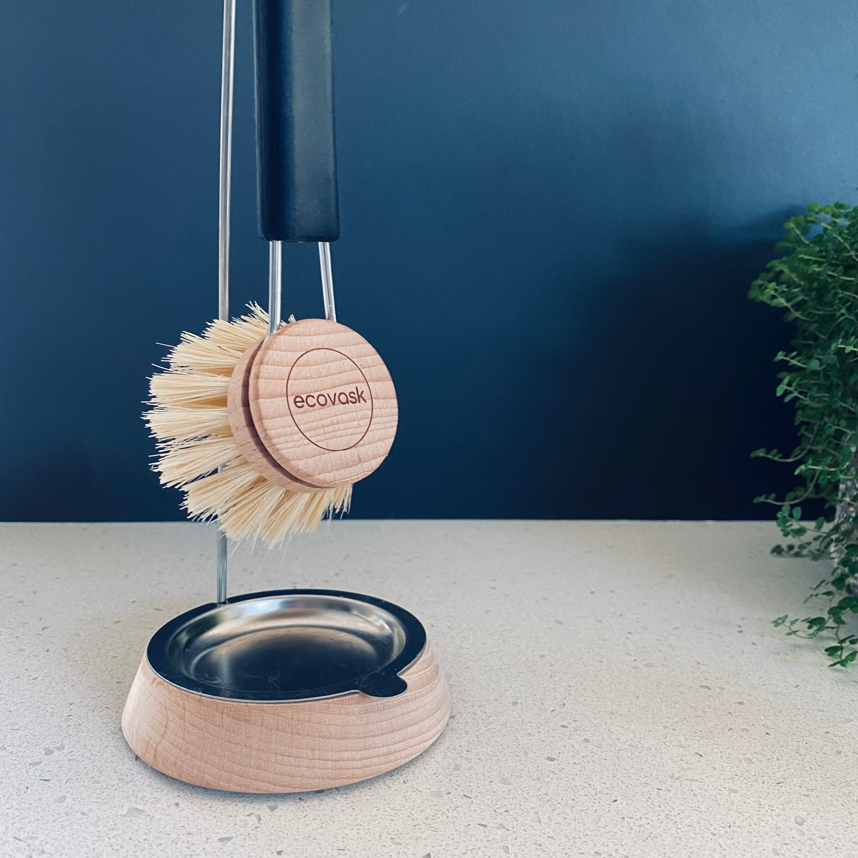 Dish Brush Stand