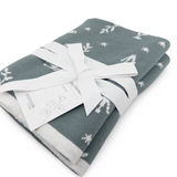 Cot and Buggy Blanket - Crowns