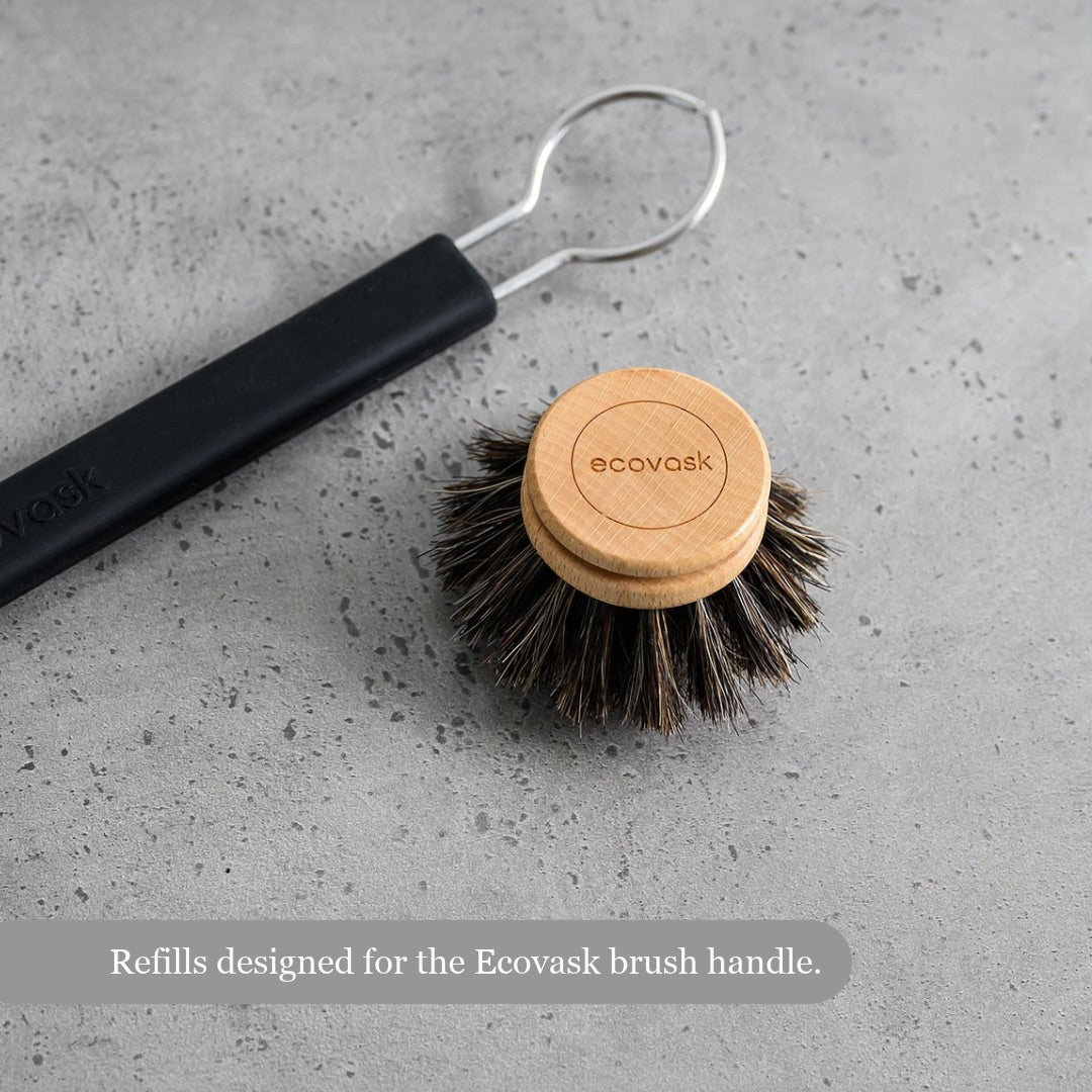 Replacement Dish Brush Head - Horse Hair