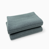 Heavy Duty Dishcloths 2pk - Sea Foam