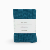 Heavy Duty Dishcloths 2pk - Tasman