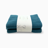 Heavy Duty Dishcloths 2pk - Tasman