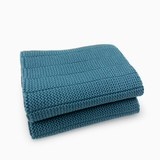 Heavy Duty Dishcloths 2pk - Tasman