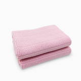 Heavy Duty Dishcloths 2pk - Sherbet