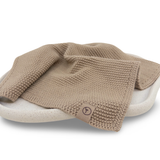 Dishcloth 'Lite' 3pk - Truffle