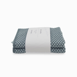 Elements Dishcloth 2pk - Sea Spray (Sea Foam)